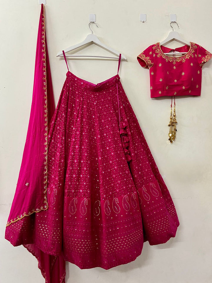 Pink Handwork Chikankari Lehenga