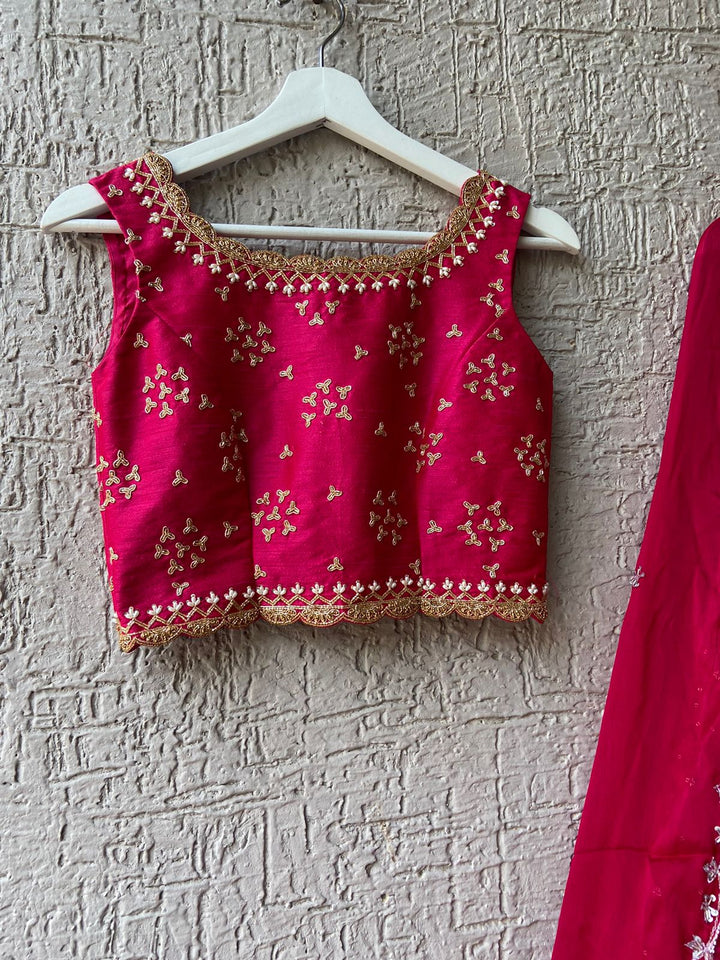 Pink Handwork Chikankari Lehenga